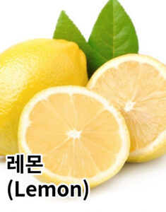 여름 과일 레몬