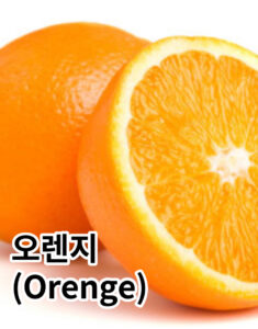 여름 과일 오렌지